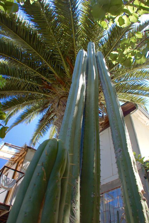 Hostal Maison De La Mer Valparaiso Ngoại thất bức ảnh